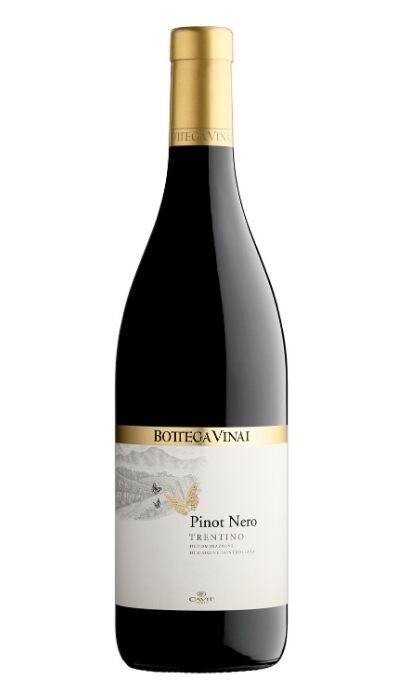 Buy Bottega Vinai Pinot Nero at herculeswines.co.uk